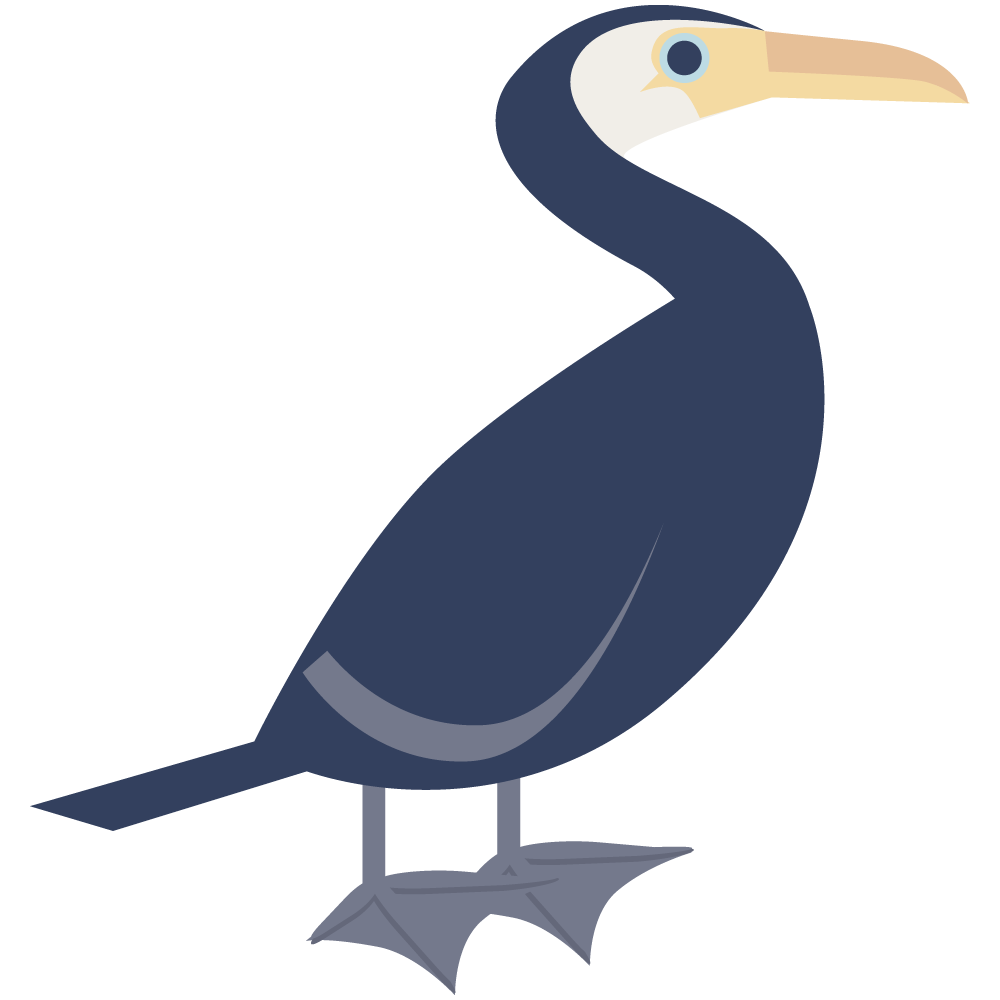 シンプルな海鵜のイラストです。