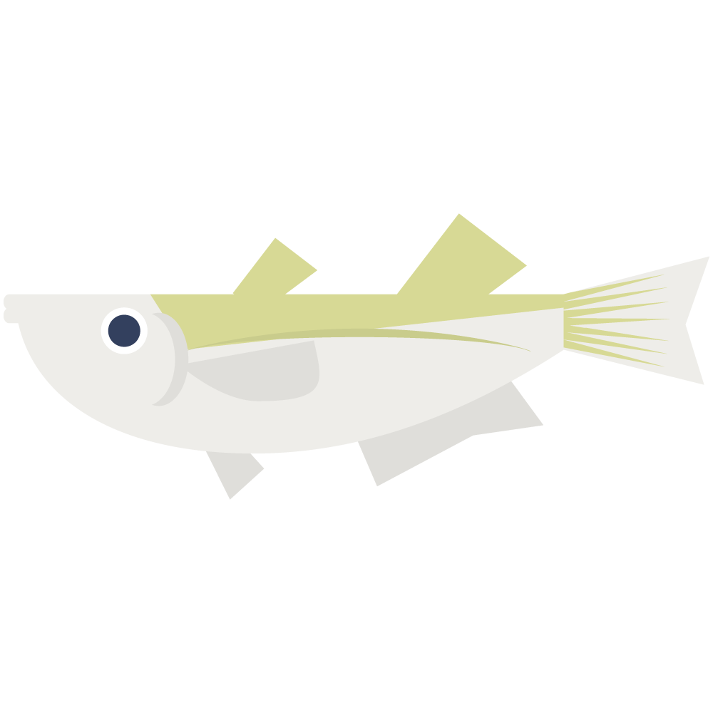 シンプルなメダカのイラストです。