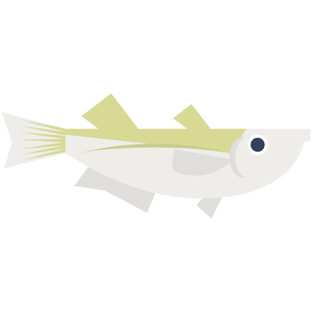 シンプルなメダカのイラストです。