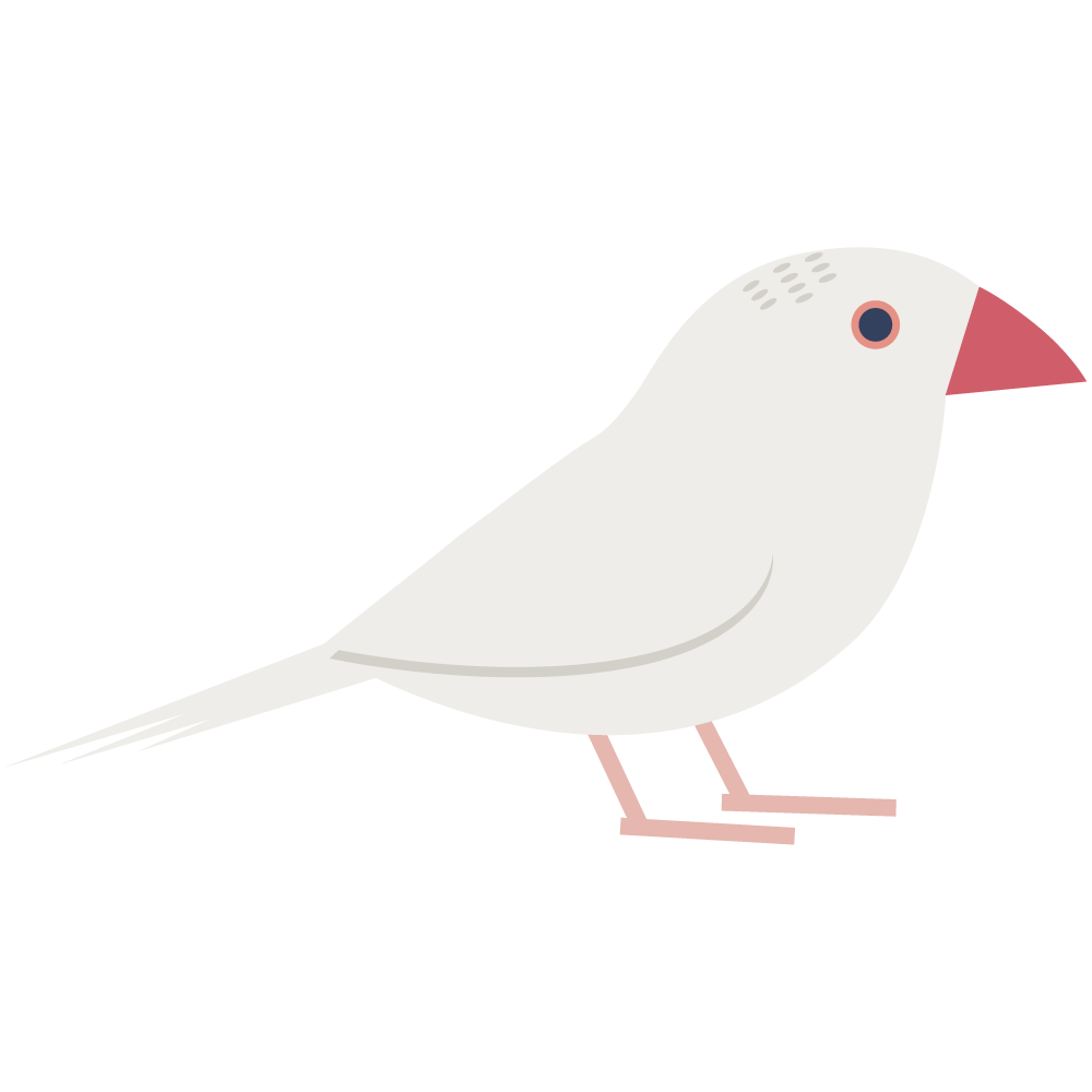 シンプルなシロブンチョウのイラストです。