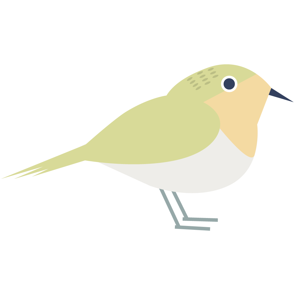 春を告げる鳥、シンプルなメジロのイラストです。